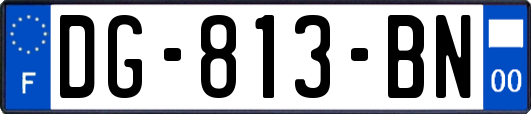 DG-813-BN