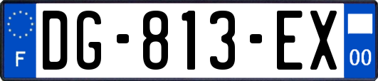 DG-813-EX