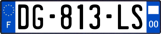 DG-813-LS