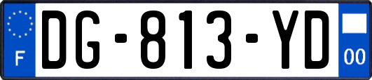 DG-813-YD