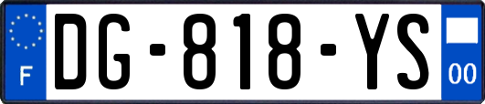 DG-818-YS
