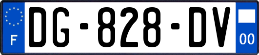 DG-828-DV