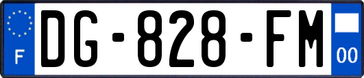 DG-828-FM