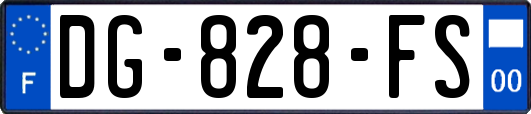 DG-828-FS