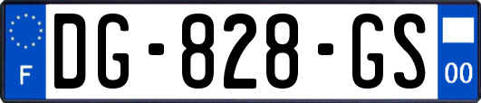 DG-828-GS