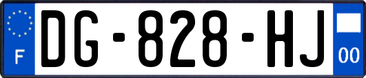 DG-828-HJ