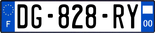 DG-828-RY