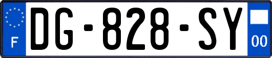 DG-828-SY
