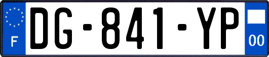 DG-841-YP