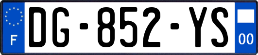 DG-852-YS