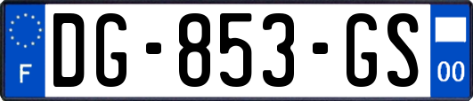 DG-853-GS