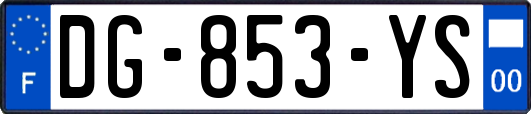 DG-853-YS