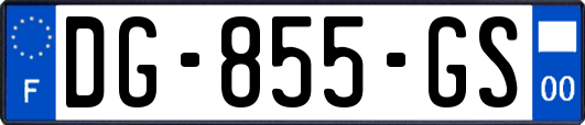 DG-855-GS