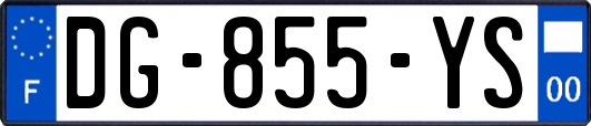 DG-855-YS