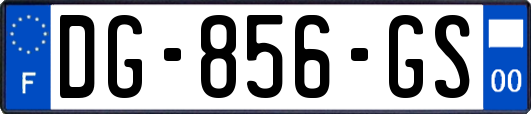 DG-856-GS