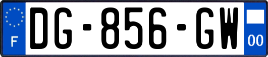 DG-856-GW