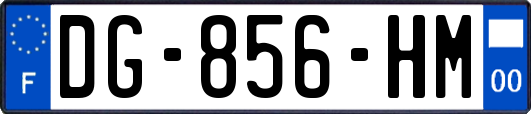 DG-856-HM