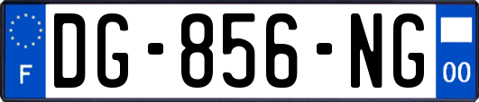 DG-856-NG