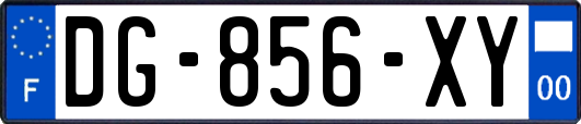 DG-856-XY
