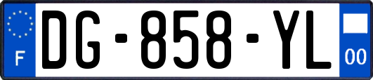 DG-858-YL