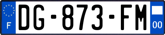 DG-873-FM