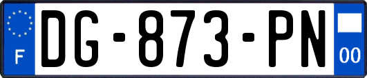 DG-873-PN