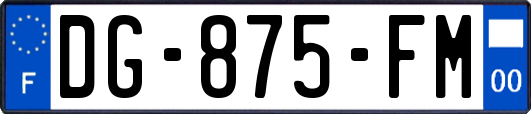 DG-875-FM