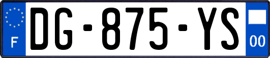 DG-875-YS