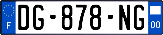 DG-878-NG
