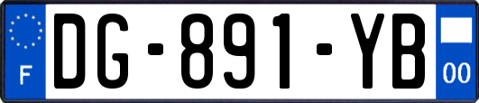 DG-891-YB
