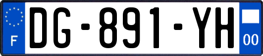 DG-891-YH