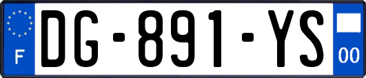 DG-891-YS