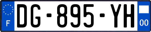DG-895-YH