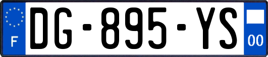 DG-895-YS