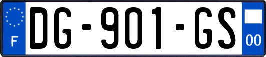 DG-901-GS