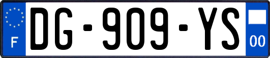 DG-909-YS