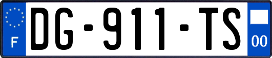 DG-911-TS