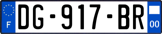 DG-917-BR