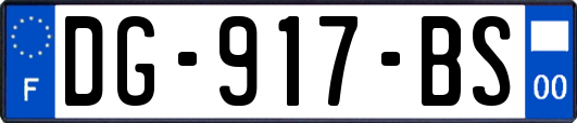 DG-917-BS