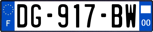 DG-917-BW