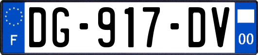 DG-917-DV