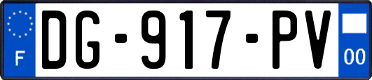 DG-917-PV