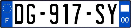 DG-917-SY