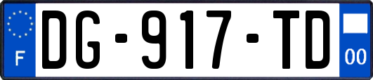 DG-917-TD