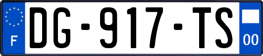 DG-917-TS