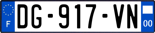 DG-917-VN