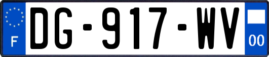 DG-917-WV
