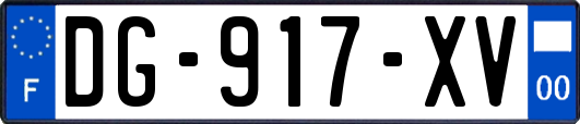 DG-917-XV