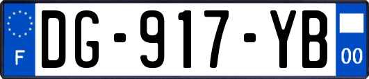 DG-917-YB