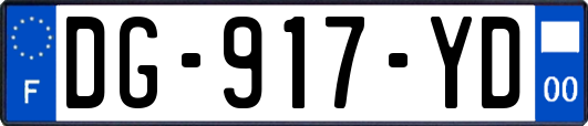 DG-917-YD